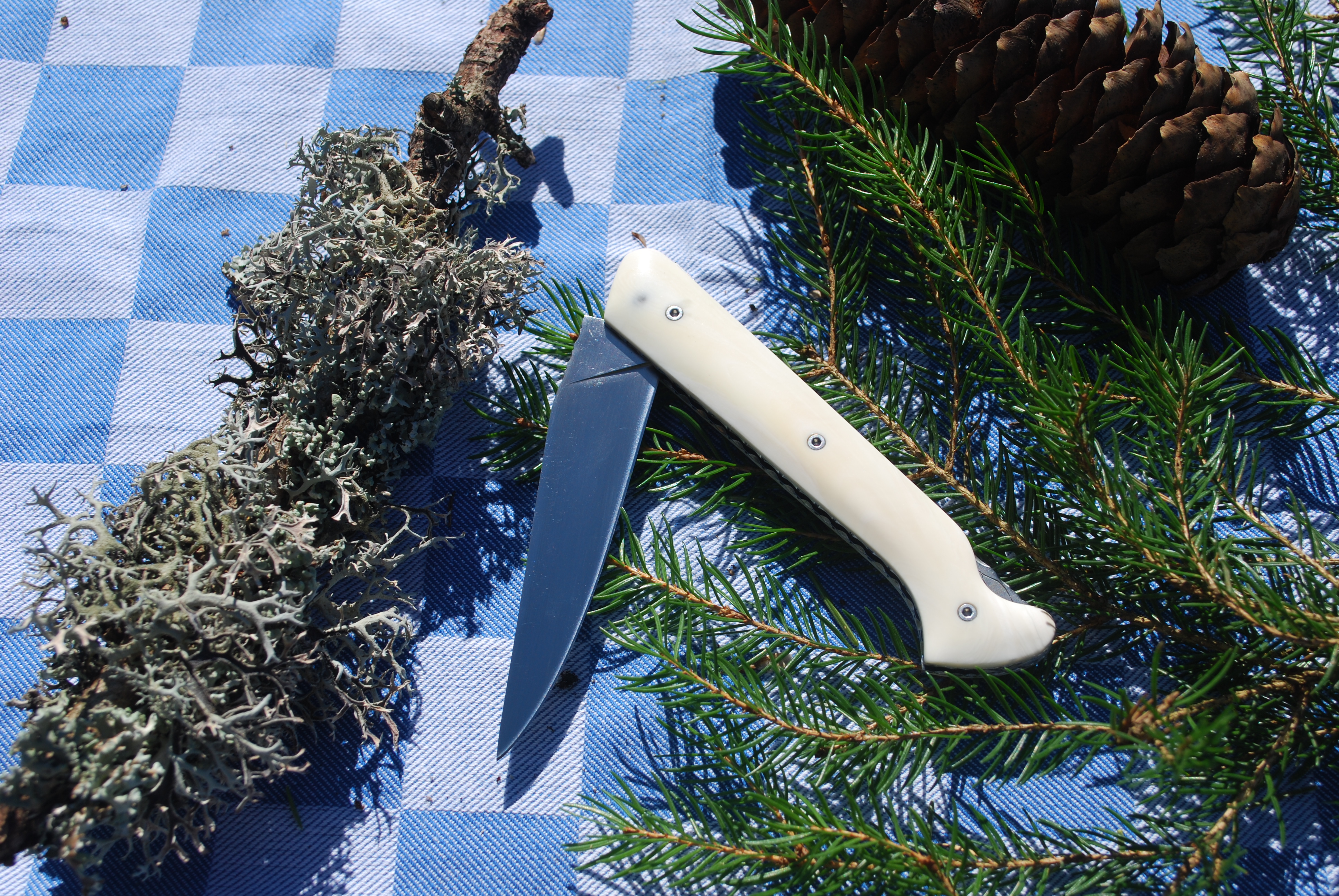 pompadour phacochère