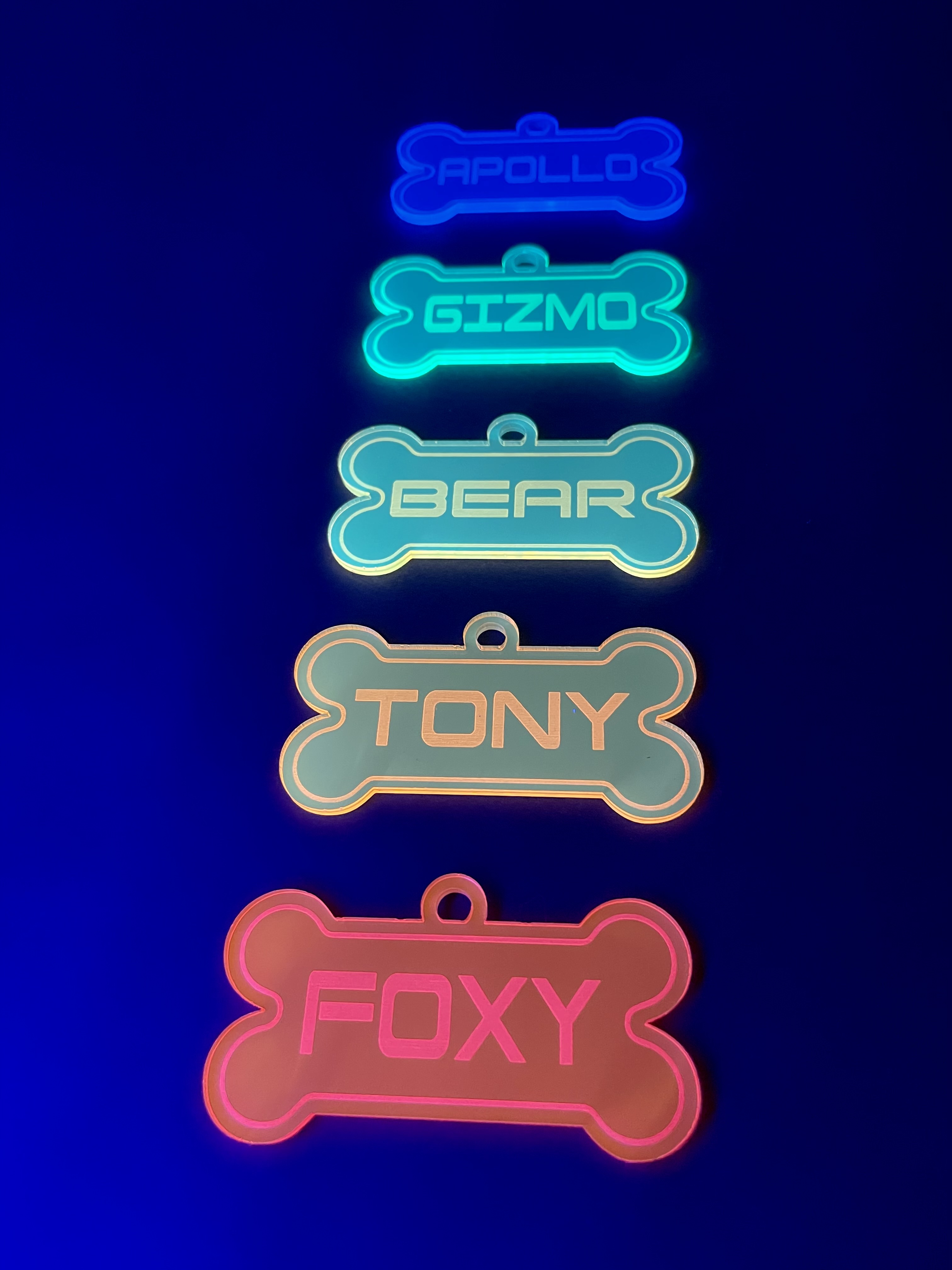 PERSONALIZED DOG TAG/PUP CHARM