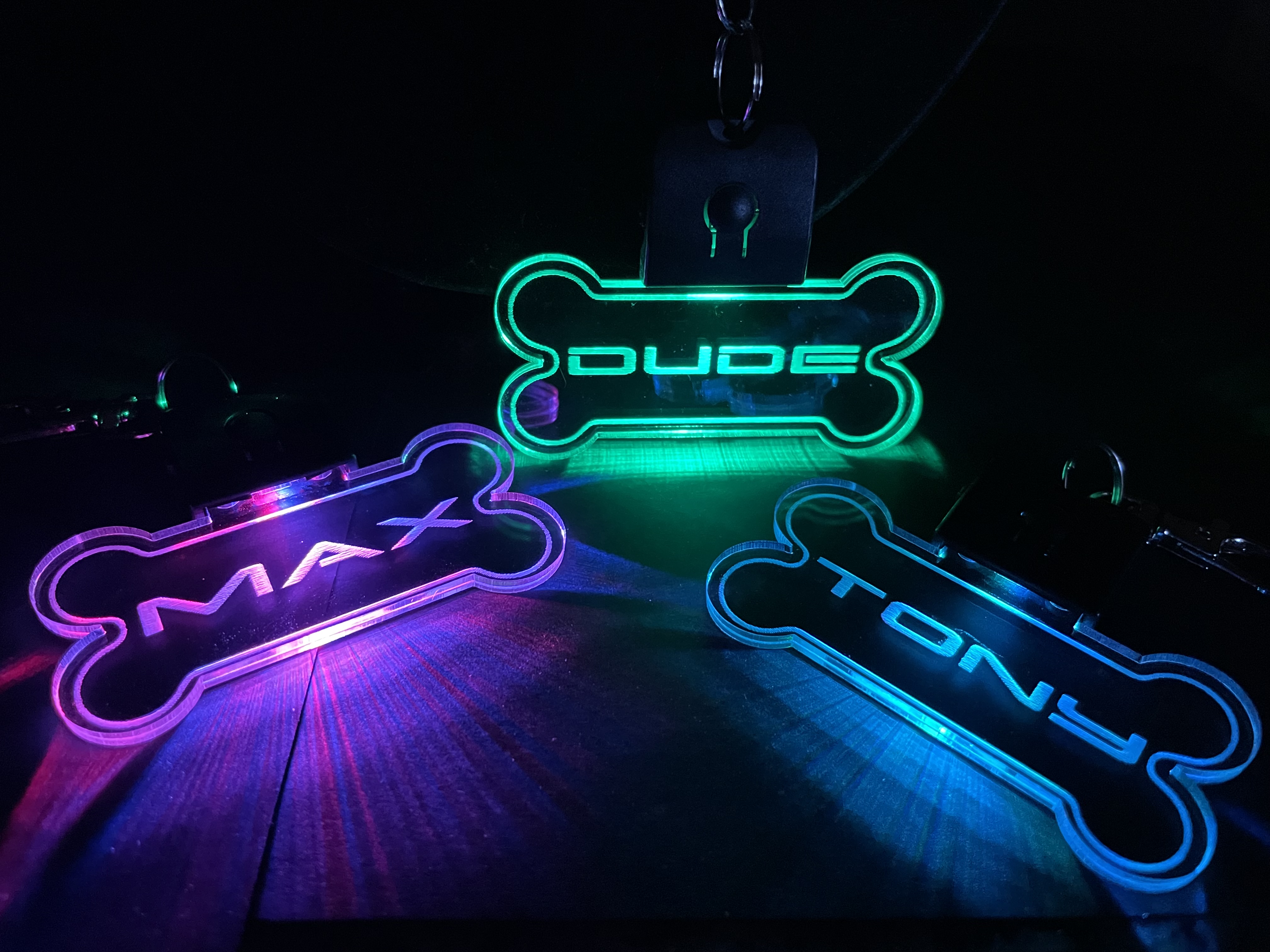 PERSONALIZED LED DOG TAG