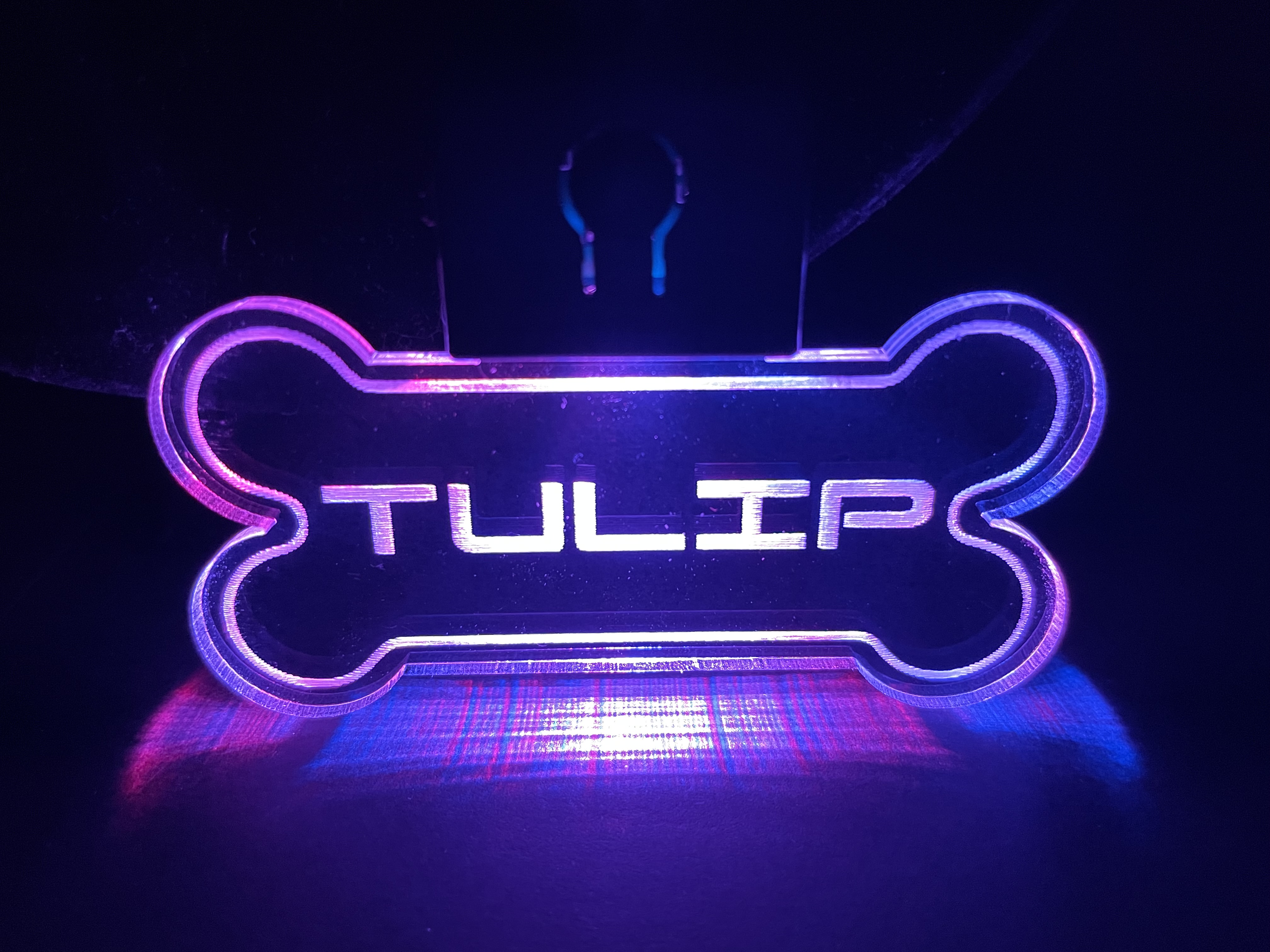 PERSONALIZED LED DOG TAG