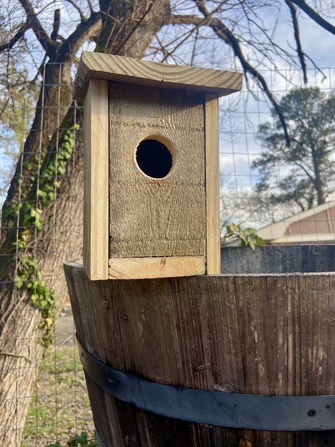 Birdhouse
