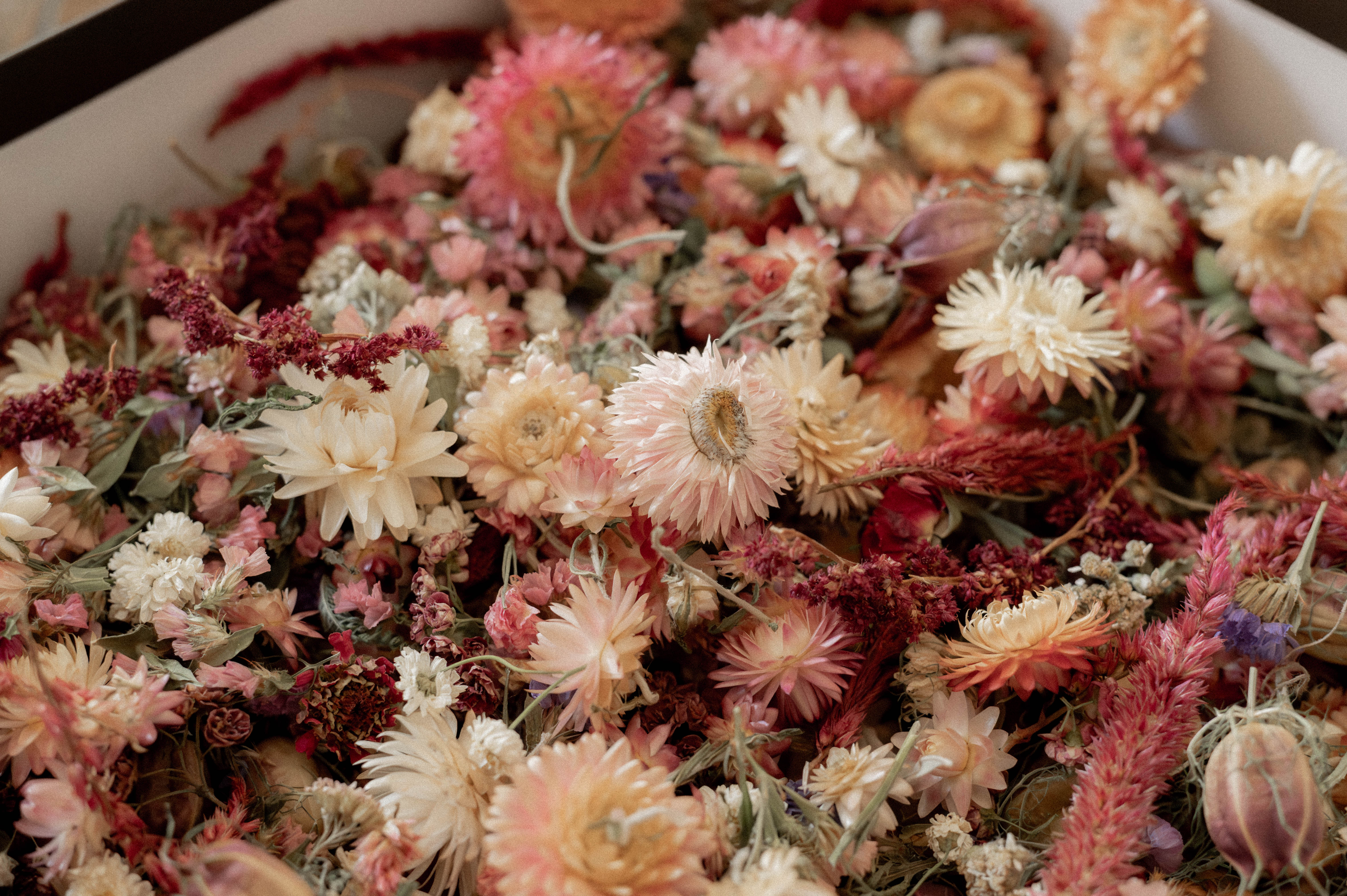 Dried Flower Confetti