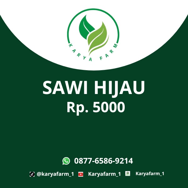 Sawi Hijau