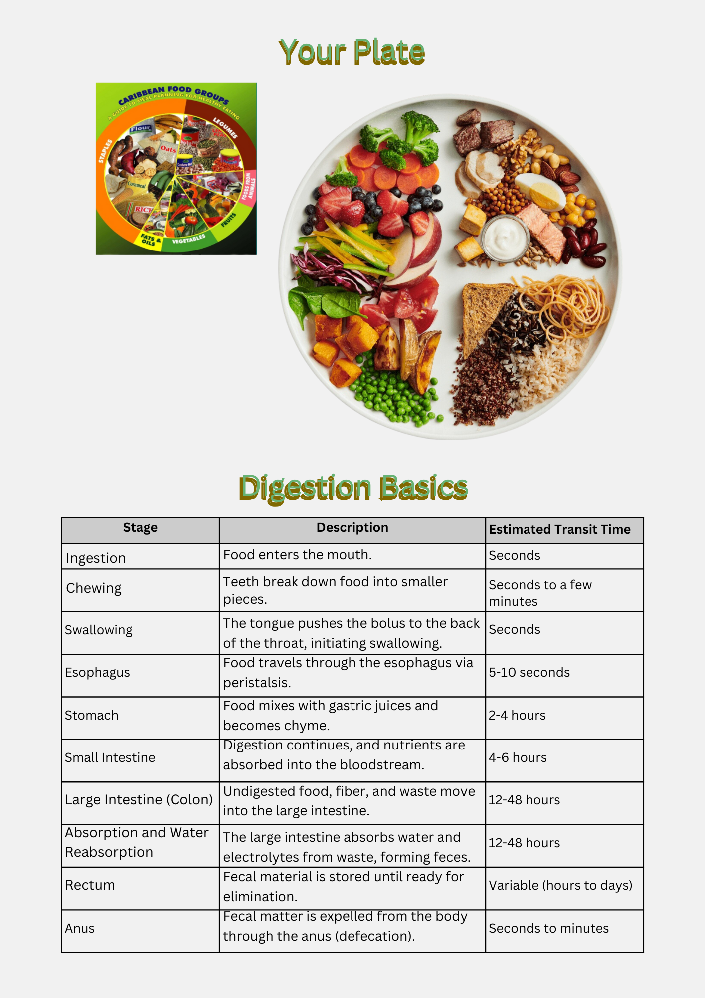 The Ultimate Nutrition Journal for Caribbean Athletes