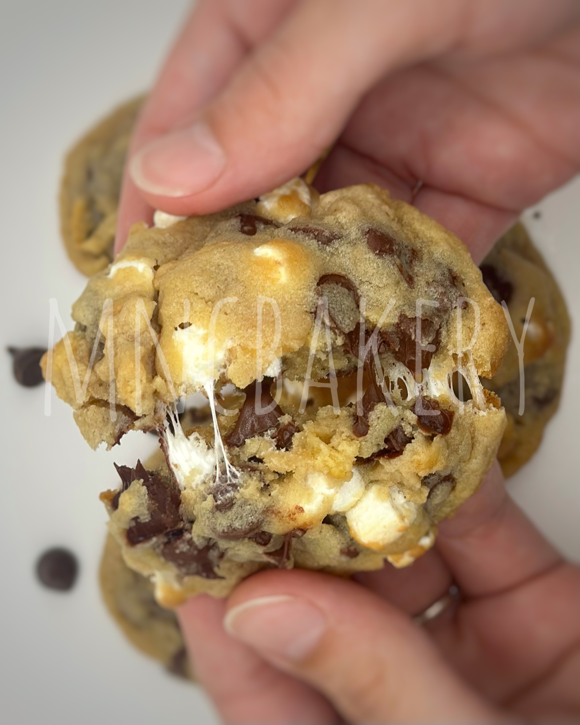 Gooey S'mores Cookies