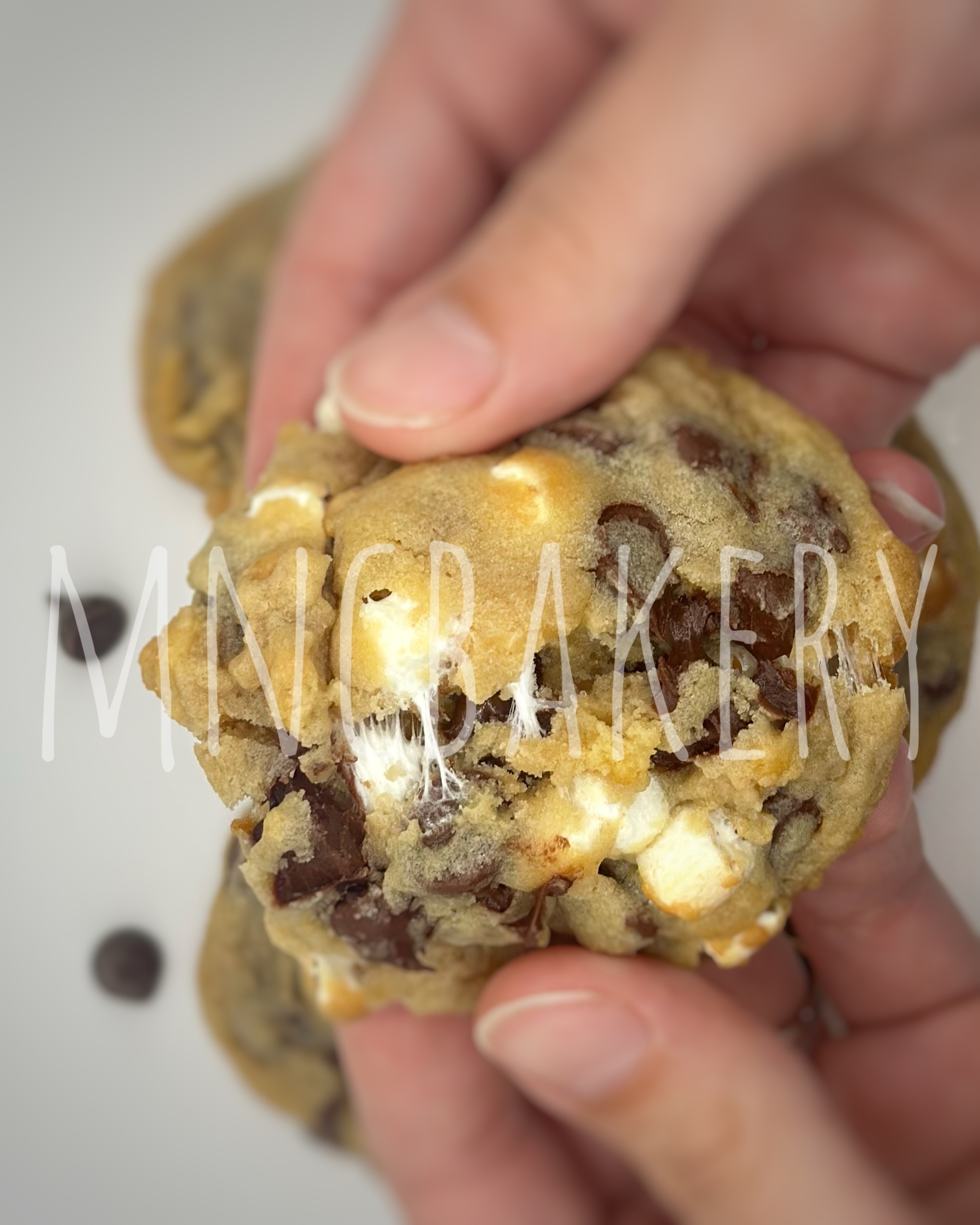 Gooey S'mores Cookies