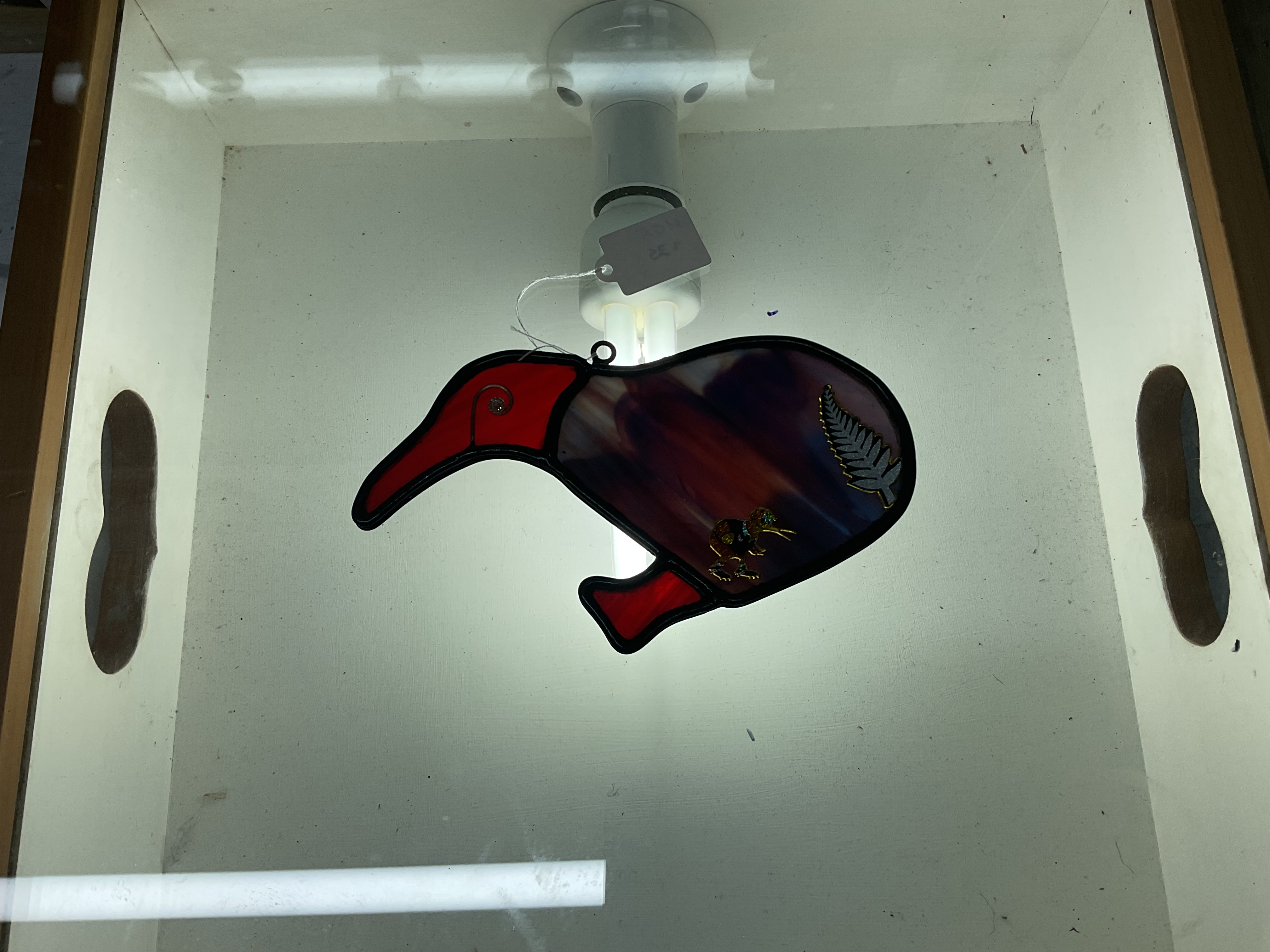Stained glass Kiwi