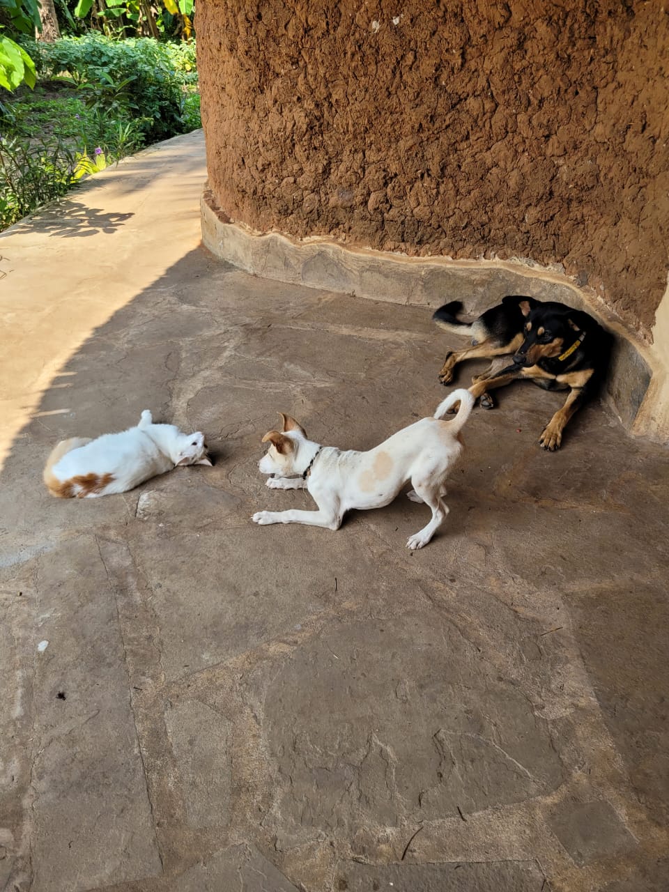 Sponsorship for Paper