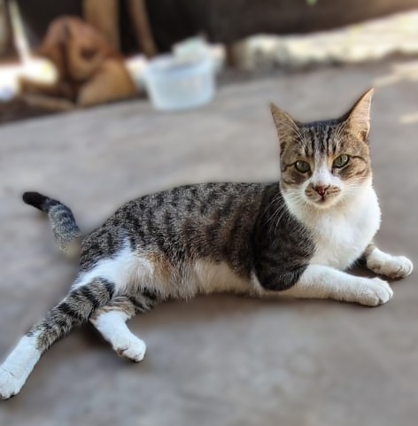 Sponsorship for Neymar