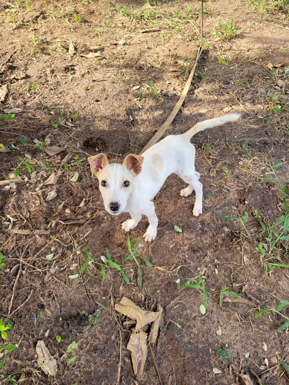 Sponsorship for Paper