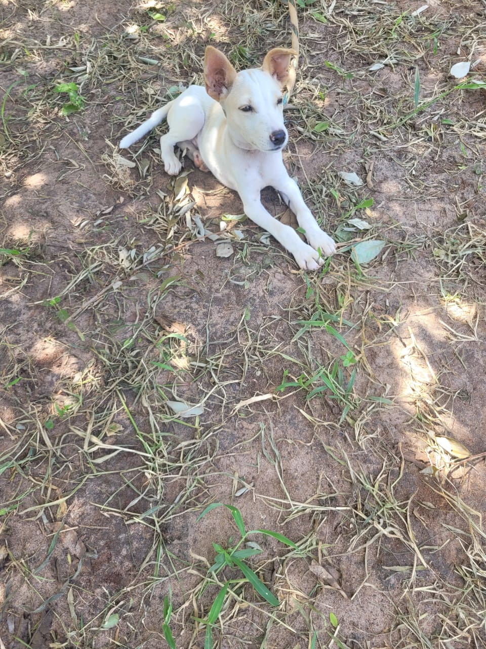 Sponsorship for Paper