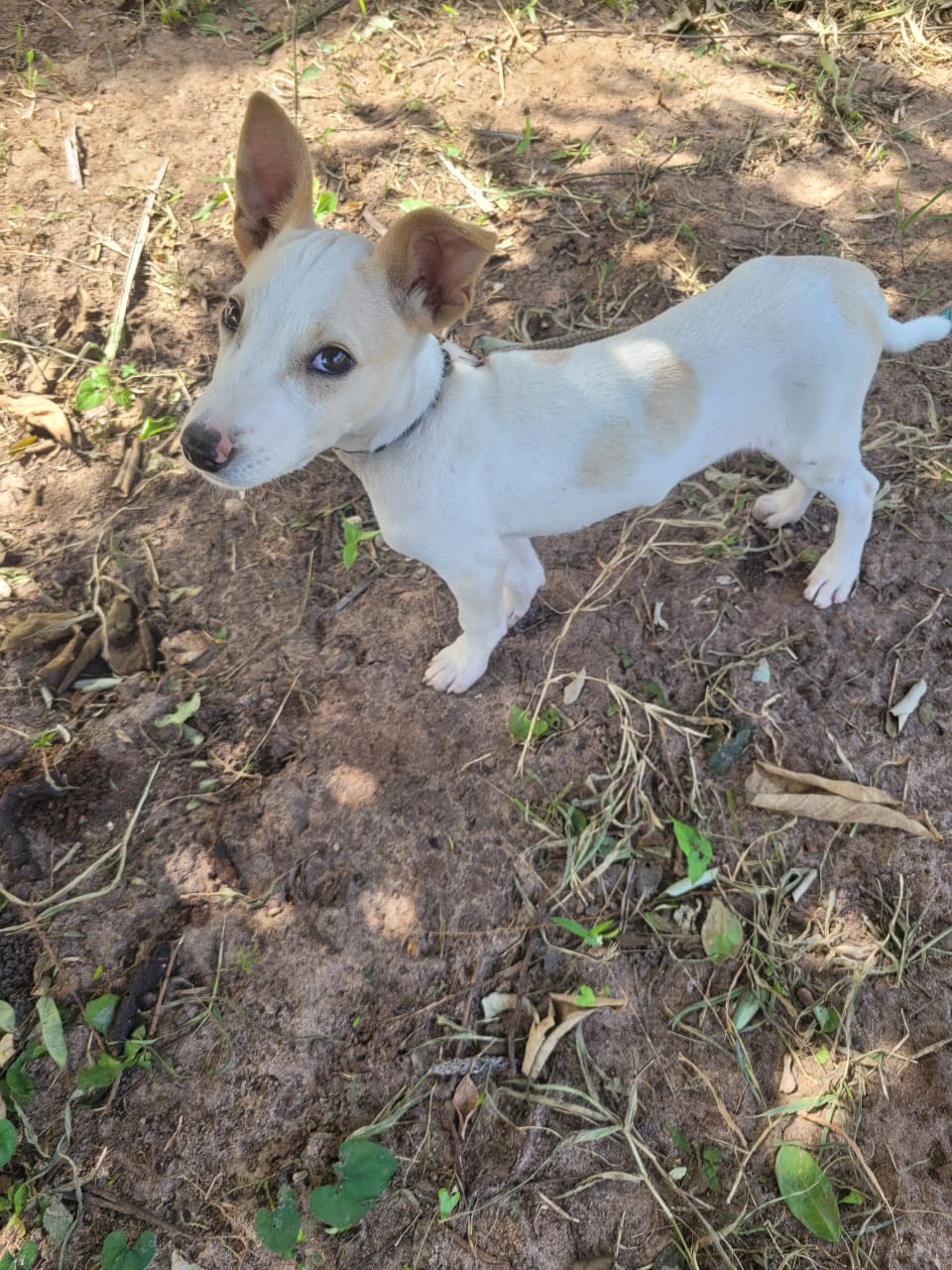 Sponsorship for Paper