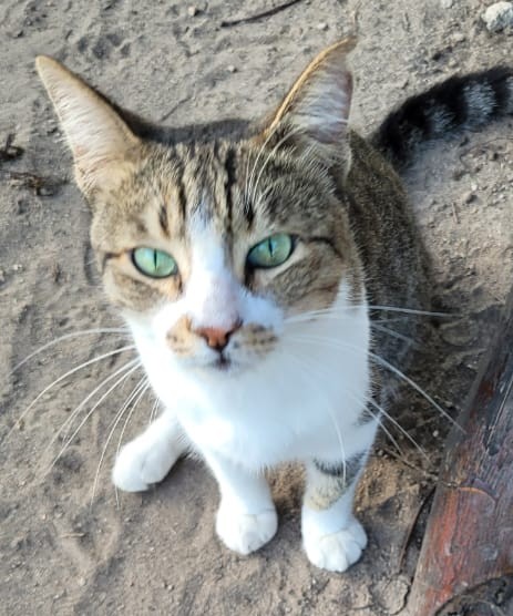 Sponsorship for Neymar