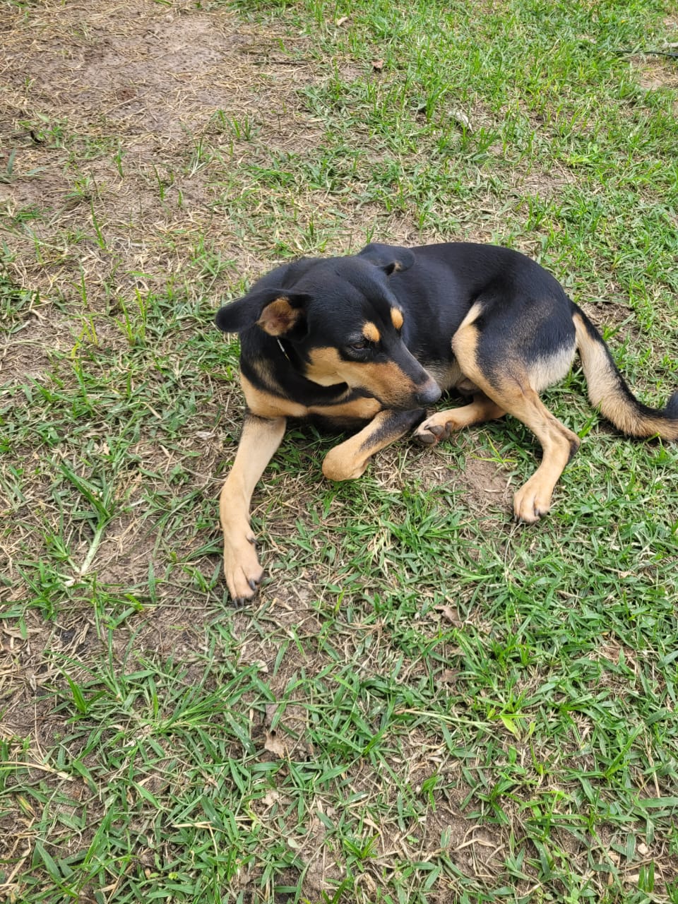 Sponsorship for Tommy