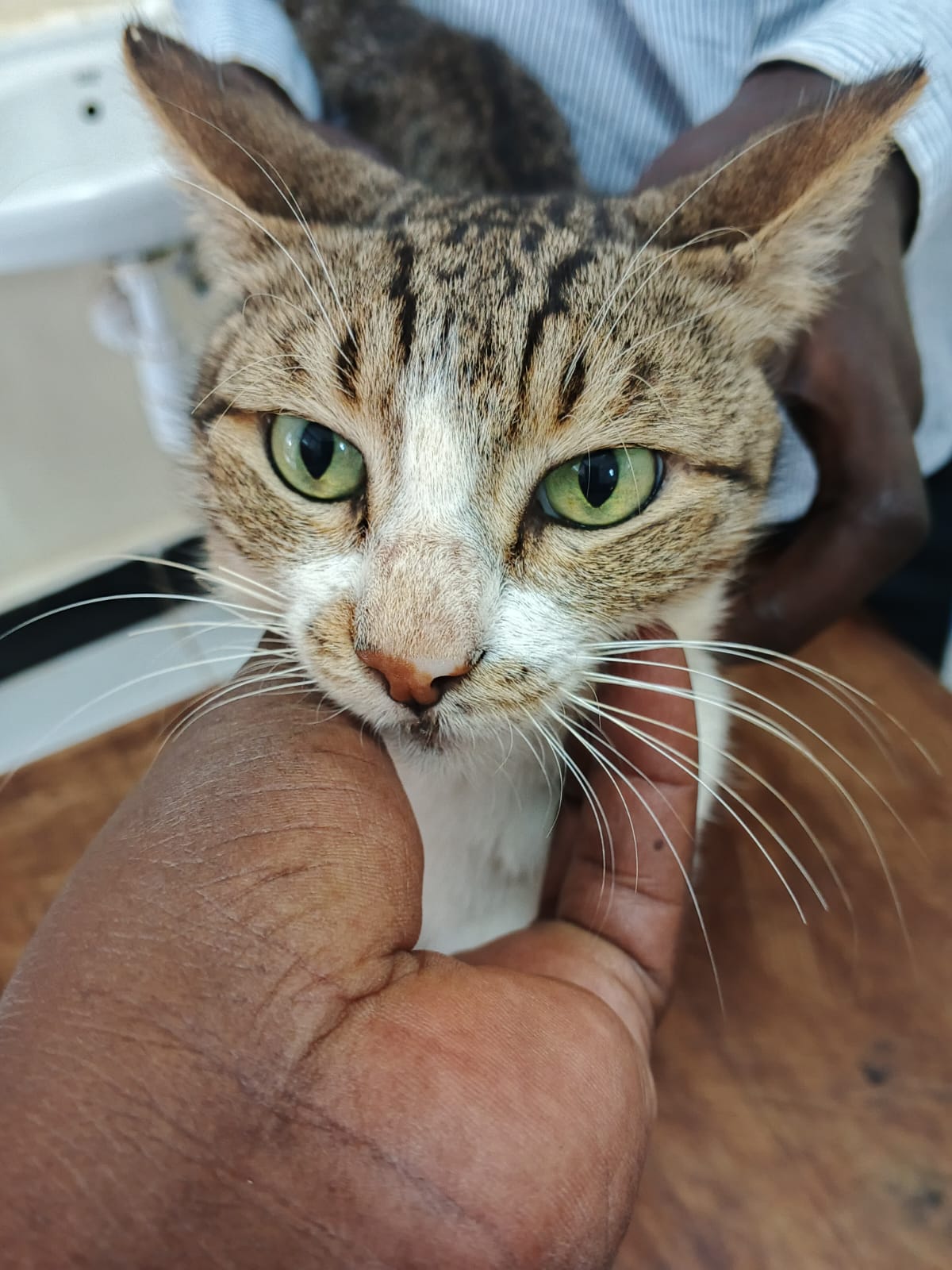 Sponsorship for Neymar