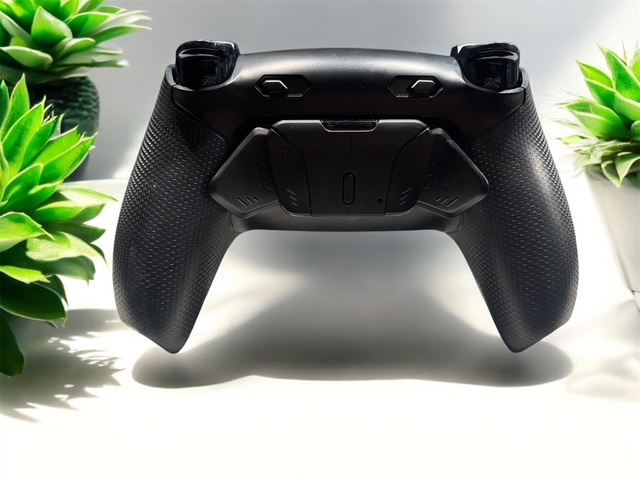 Montage de Palettes sur votre Manette de Ps5 couleur au choix