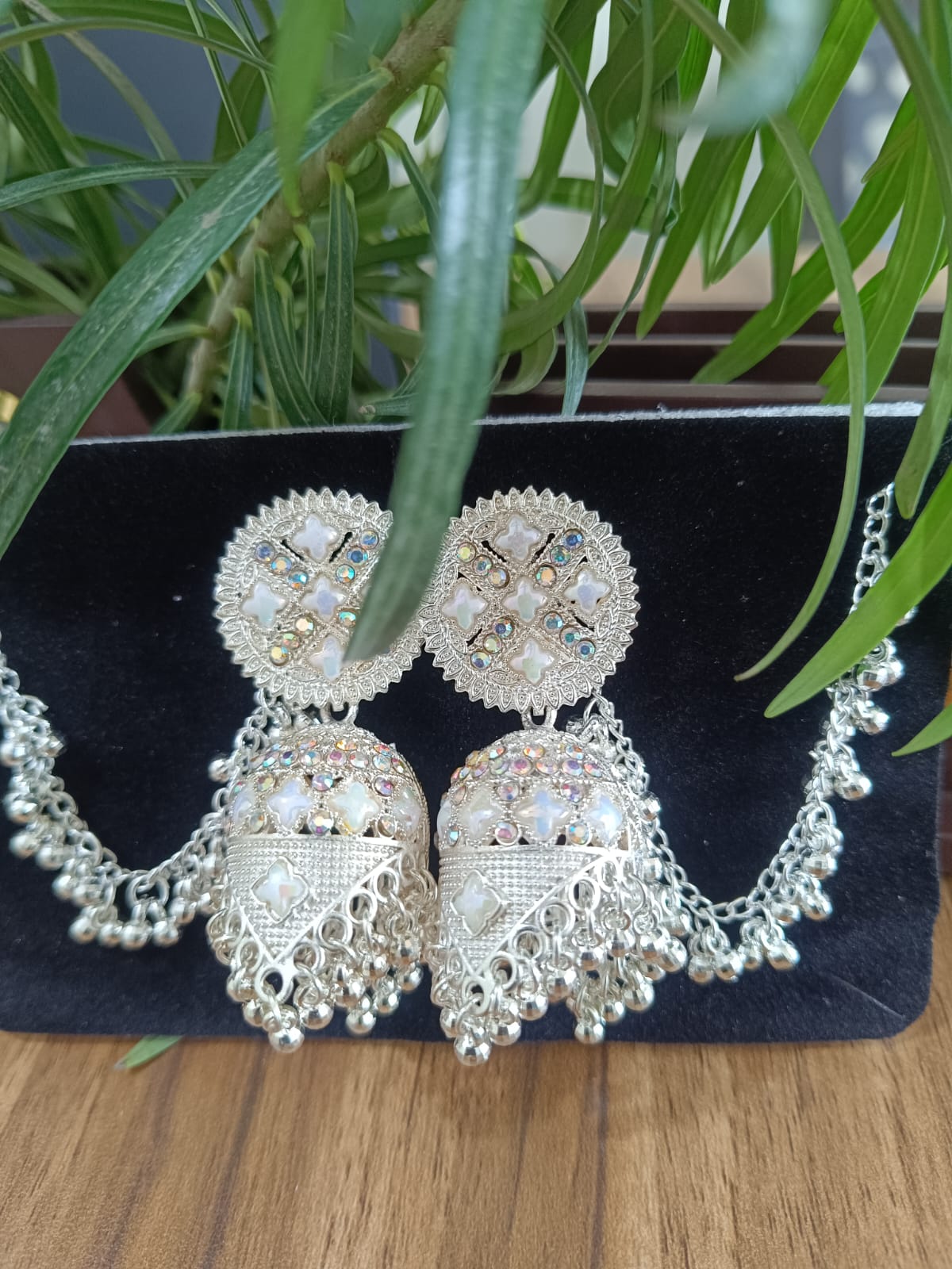 Elegant Silver Earrings