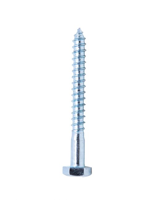 Coach Screws