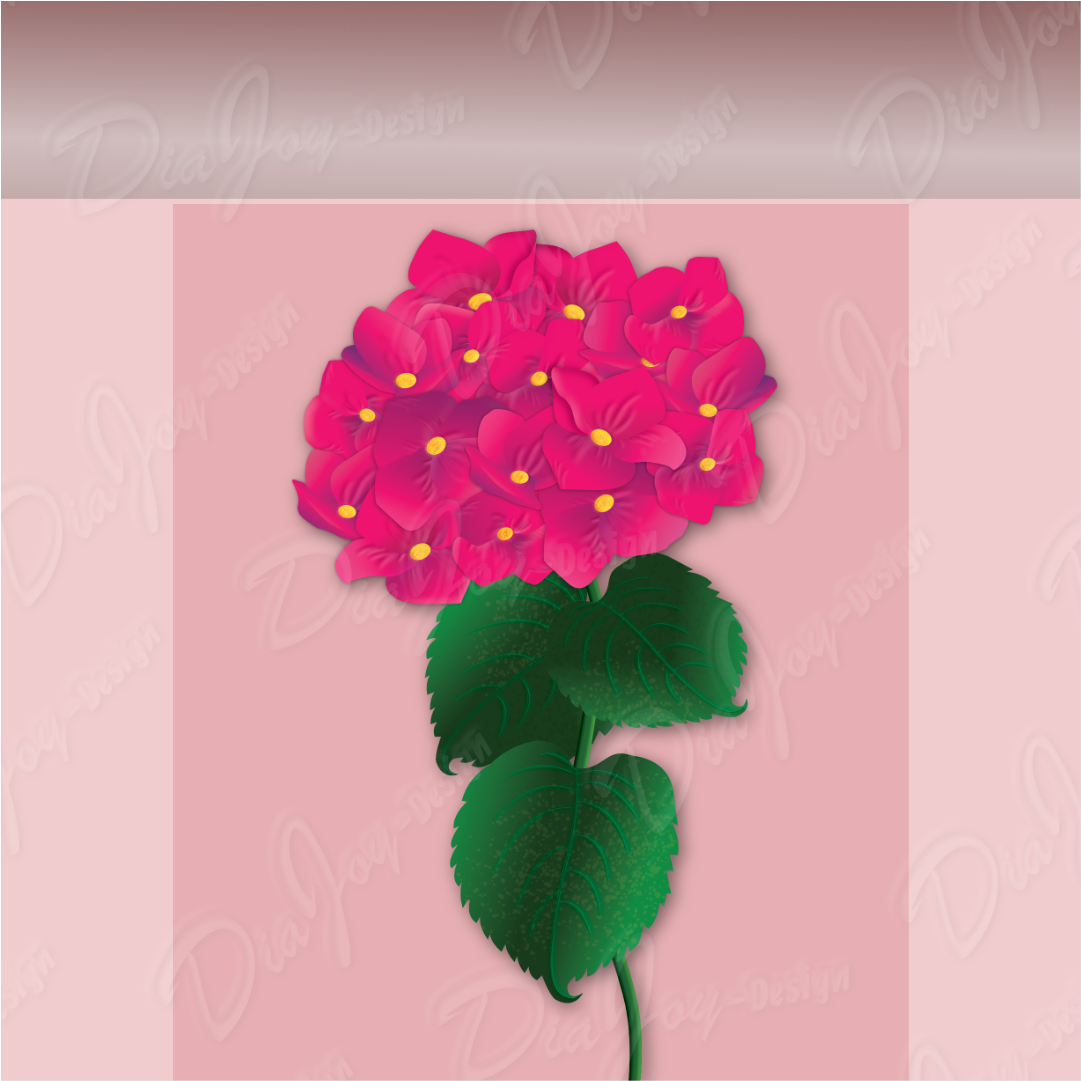 Hydrangea Macrophylla Clipart Set