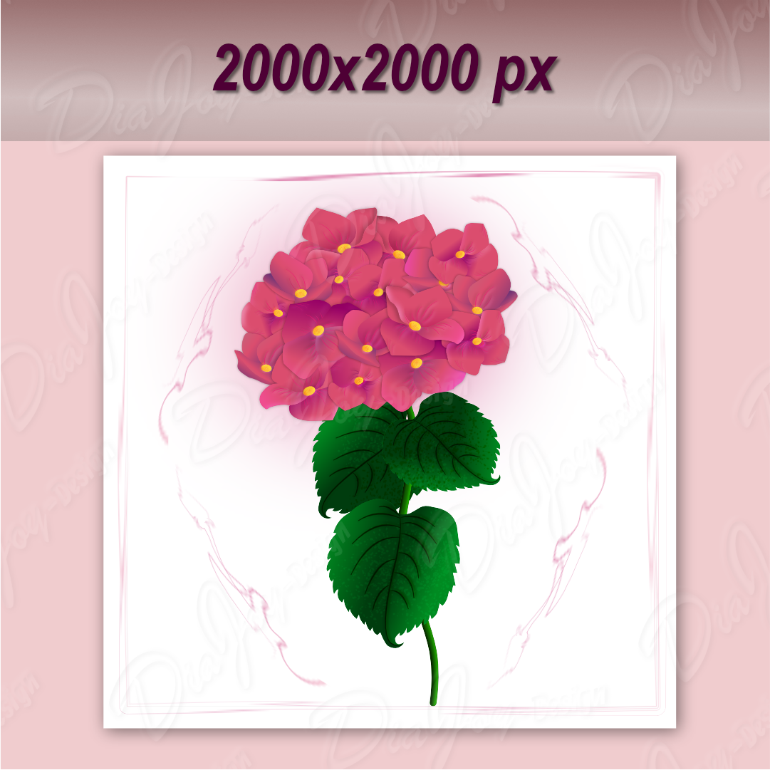 Hydrangea Macrophylla Clipart Set