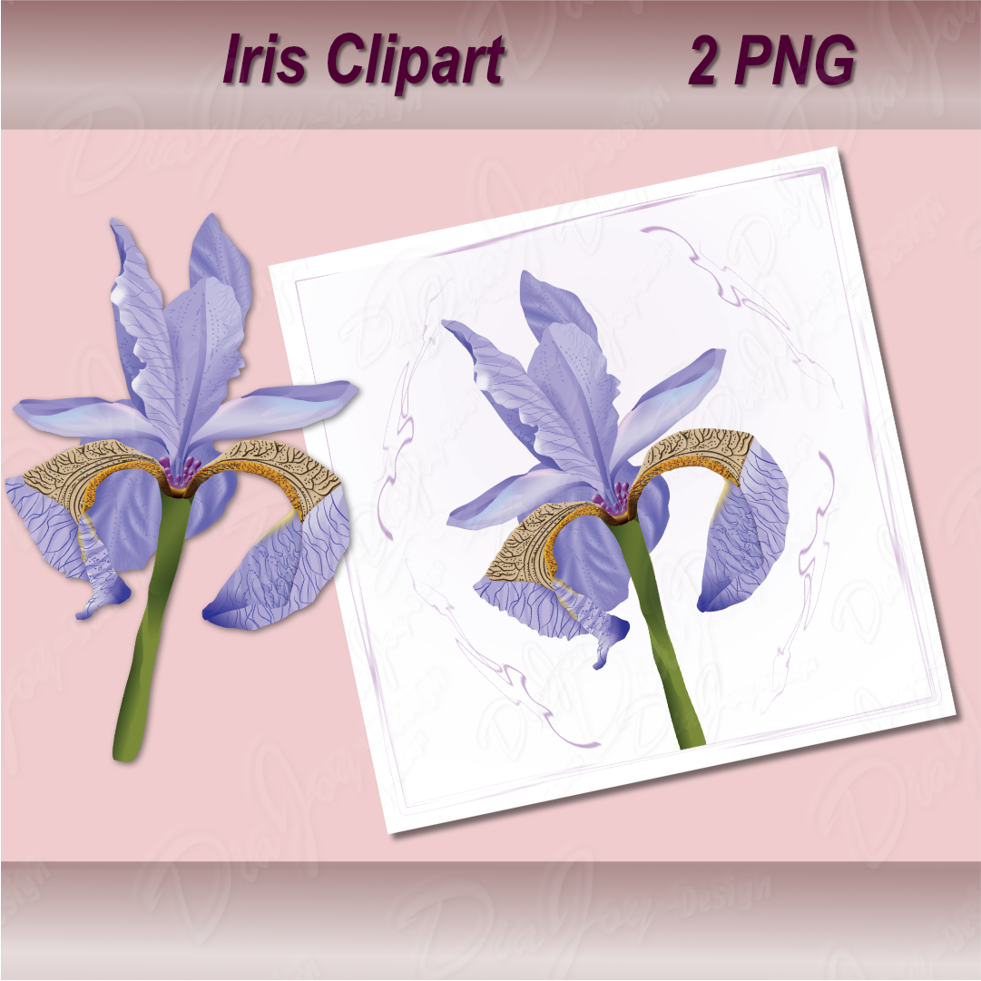 Iris Clipart Set