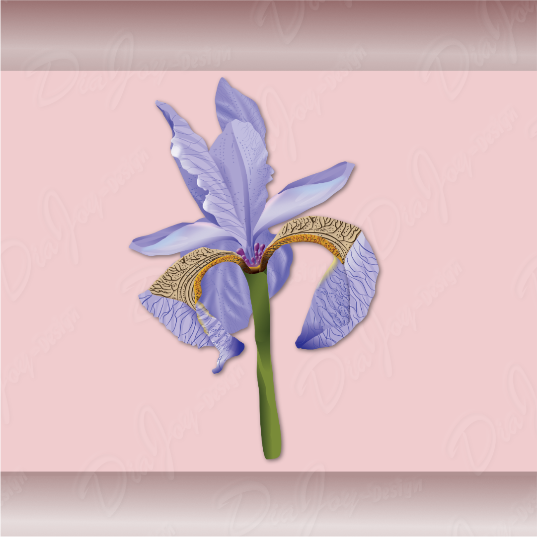 Iris Clipart Set