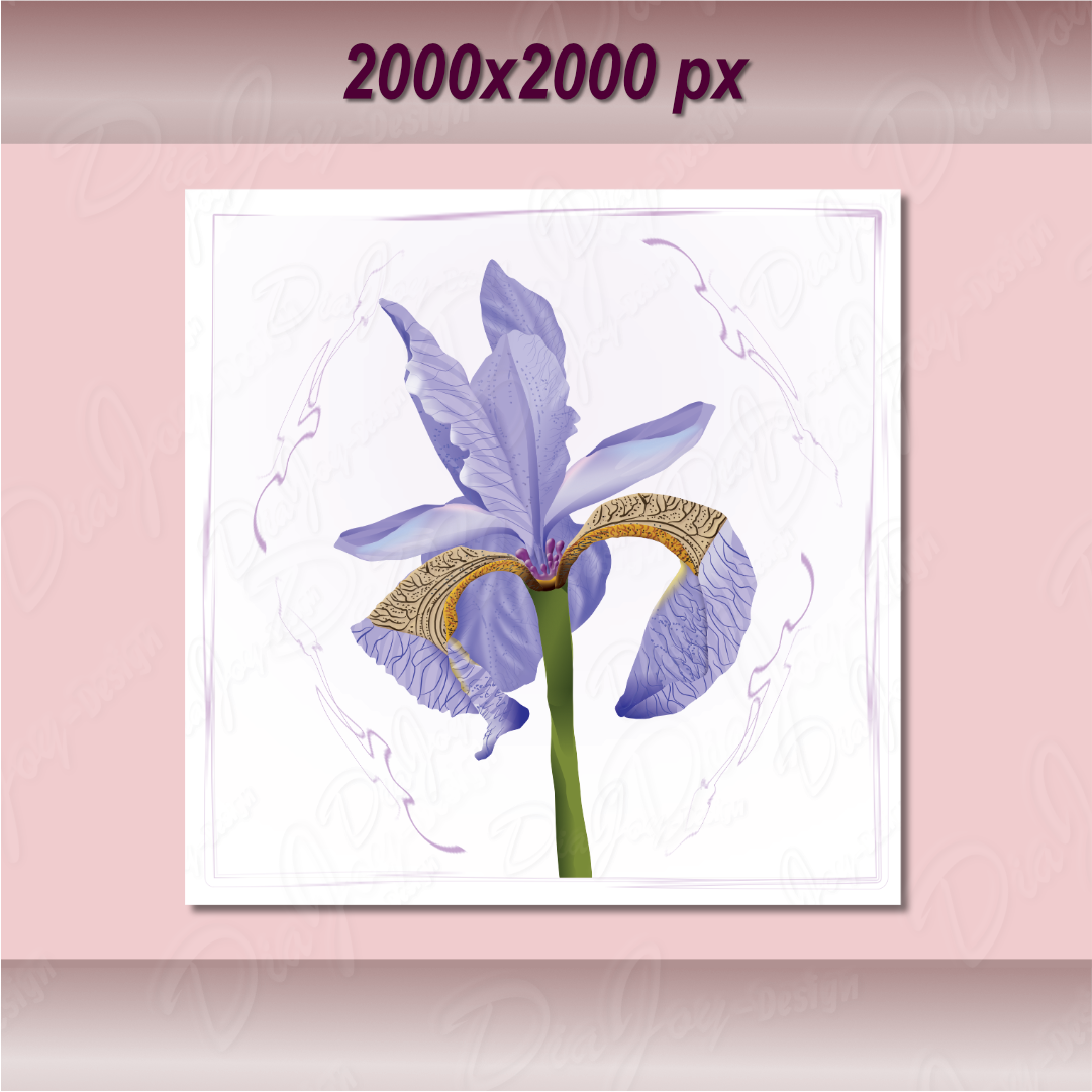 Iris Clipart Set