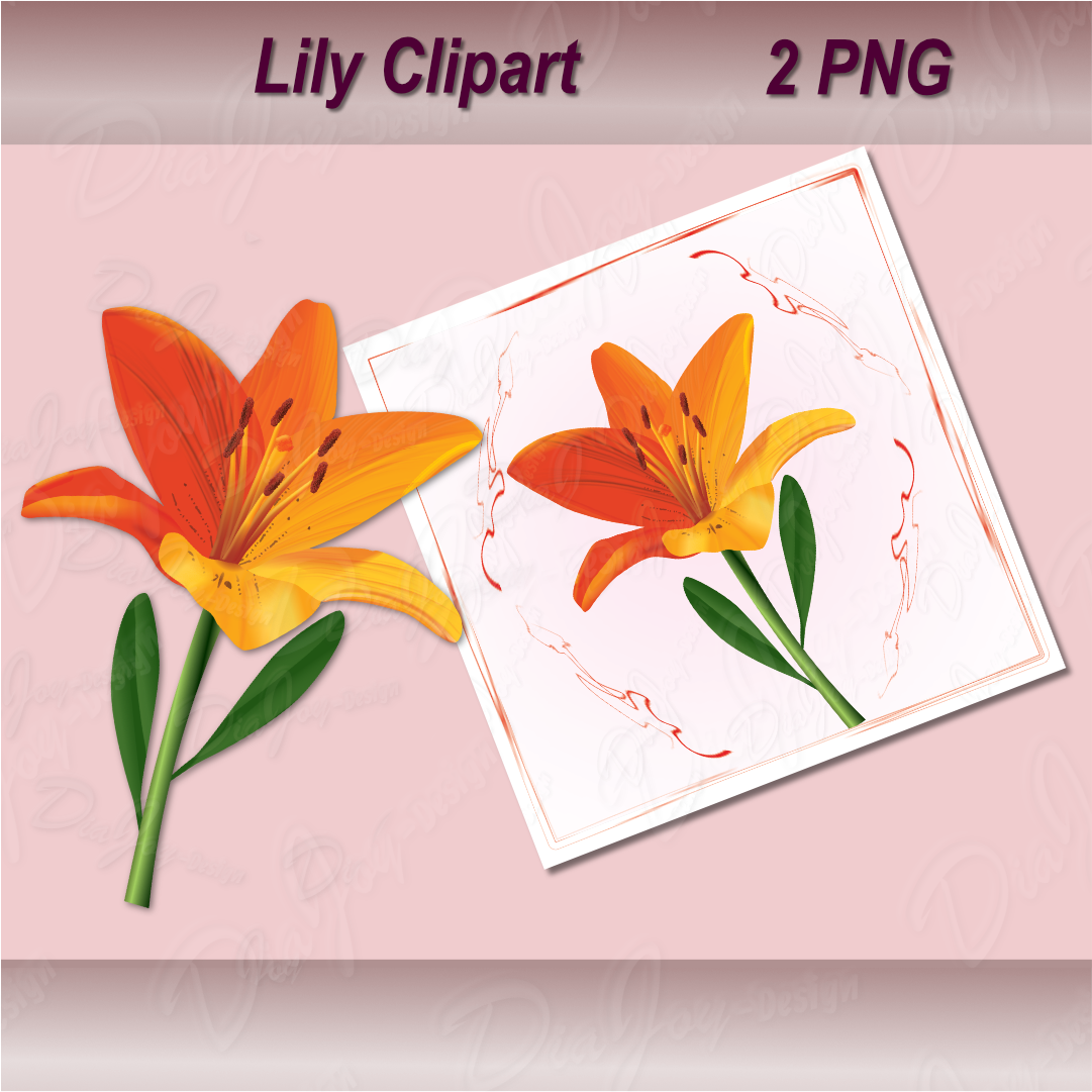 Lily Clipart Set