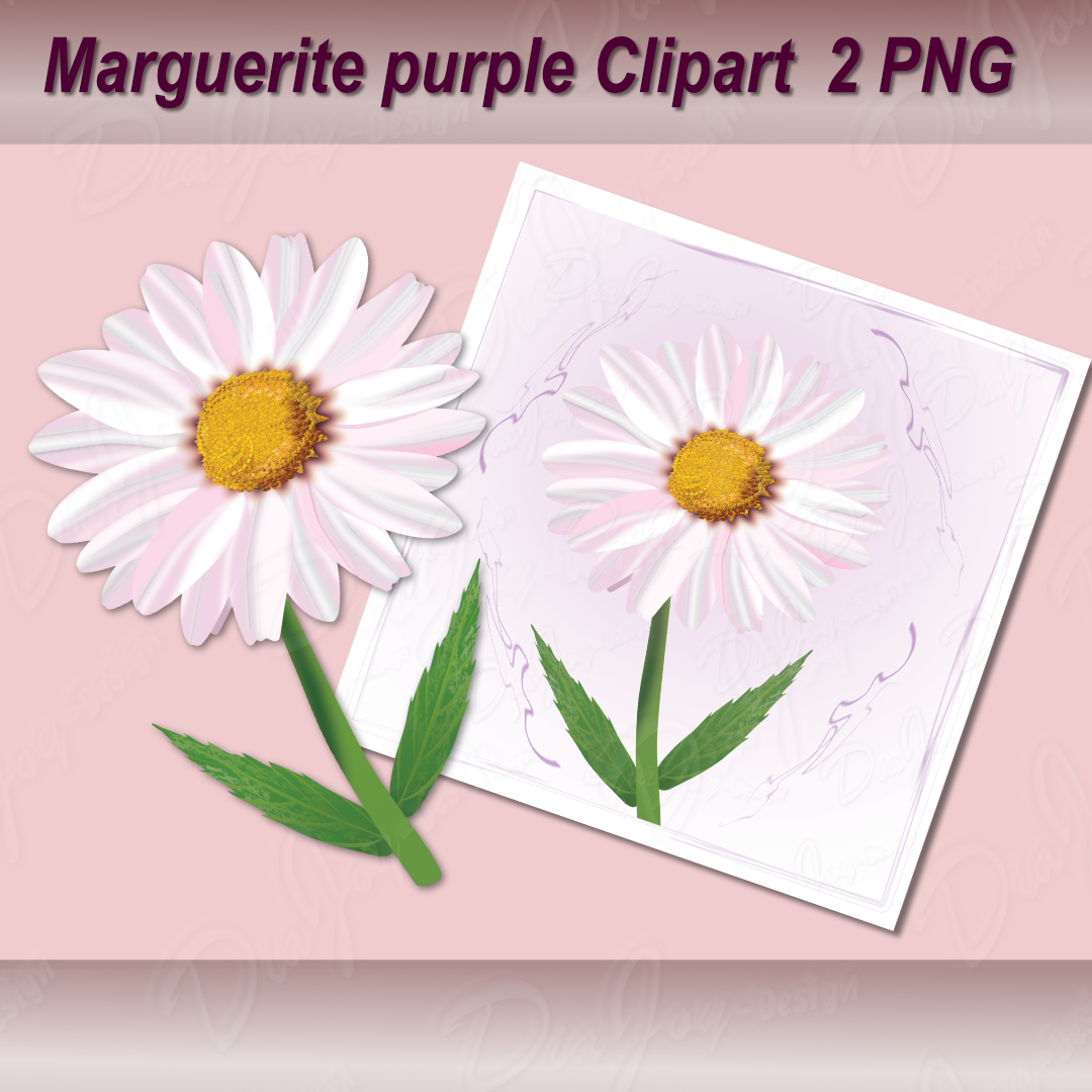 Marguerite Purple Clipart Set