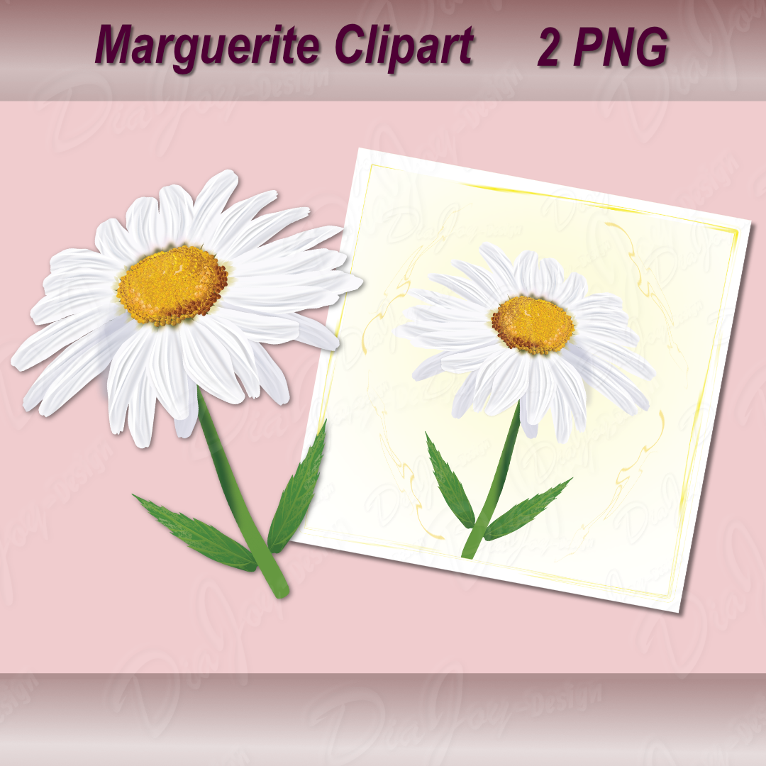 Marguerite Clipart Set