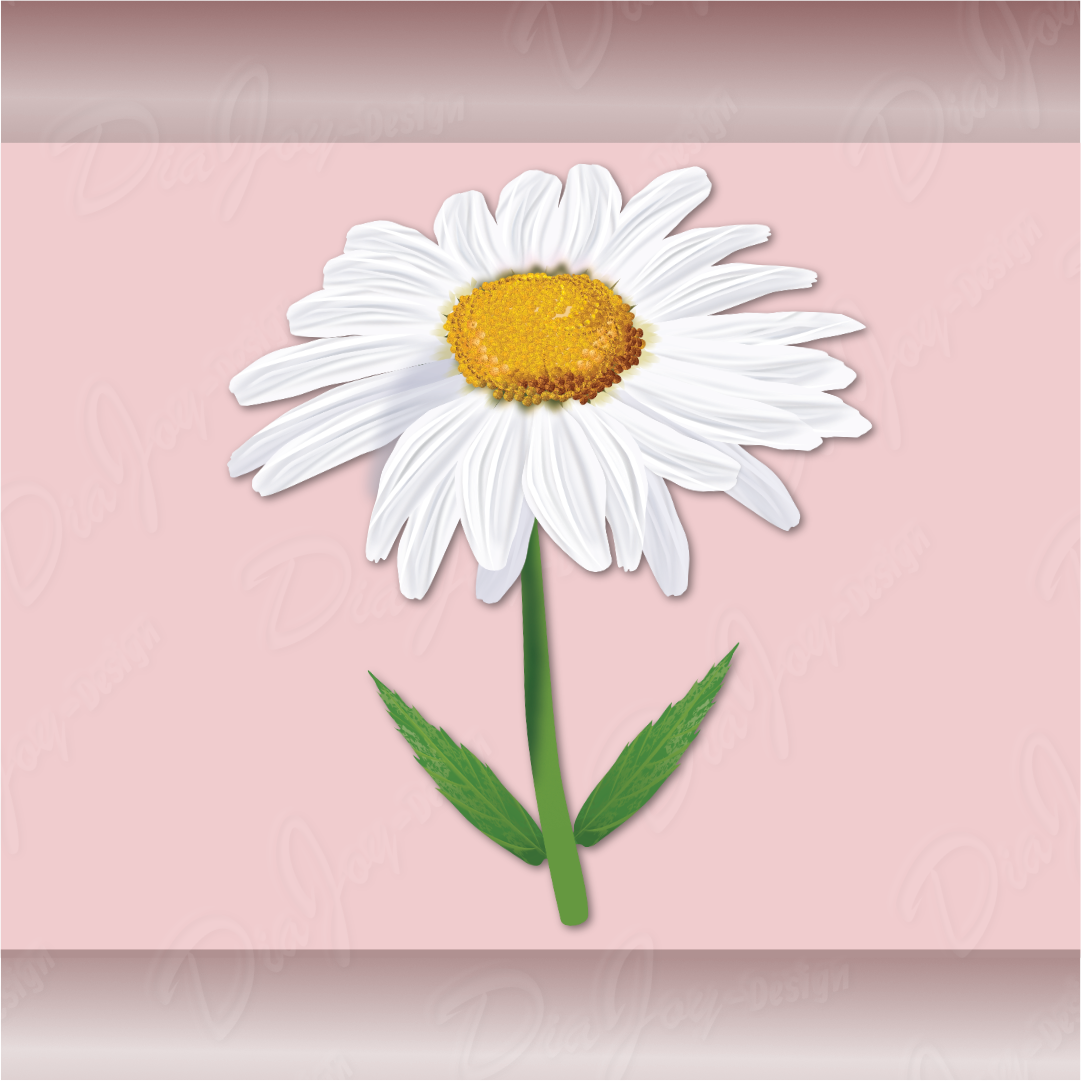 Marguerite Clipart Set