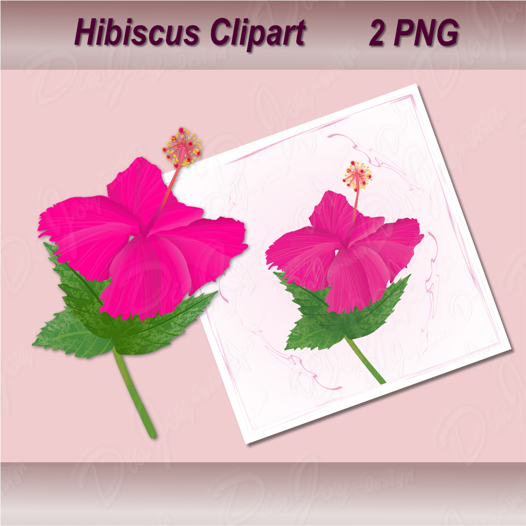 Hibiscus Clipart Set