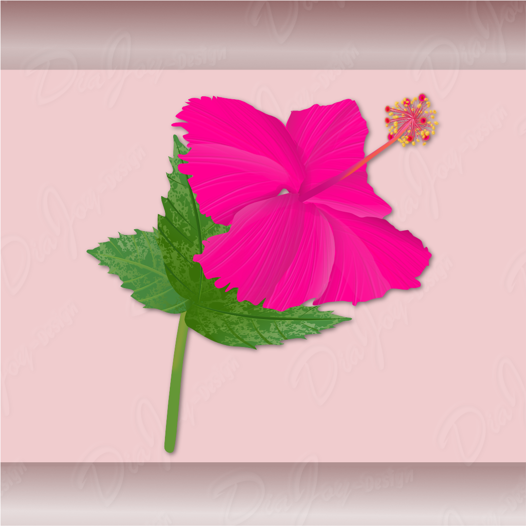 Hibiscus Clipart Set
