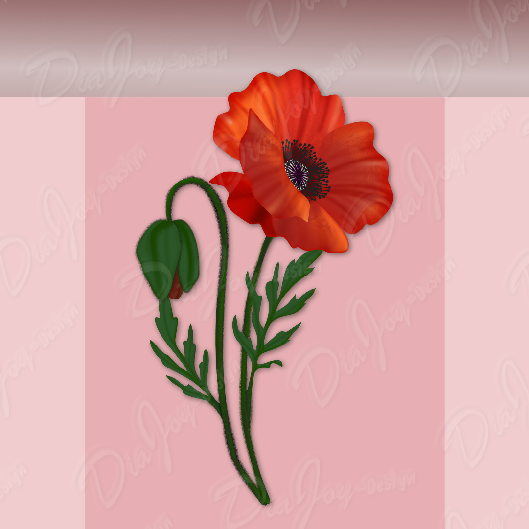 Poppy Clipart Set