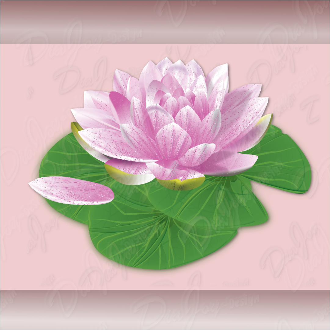 Water Lily Clipart Set