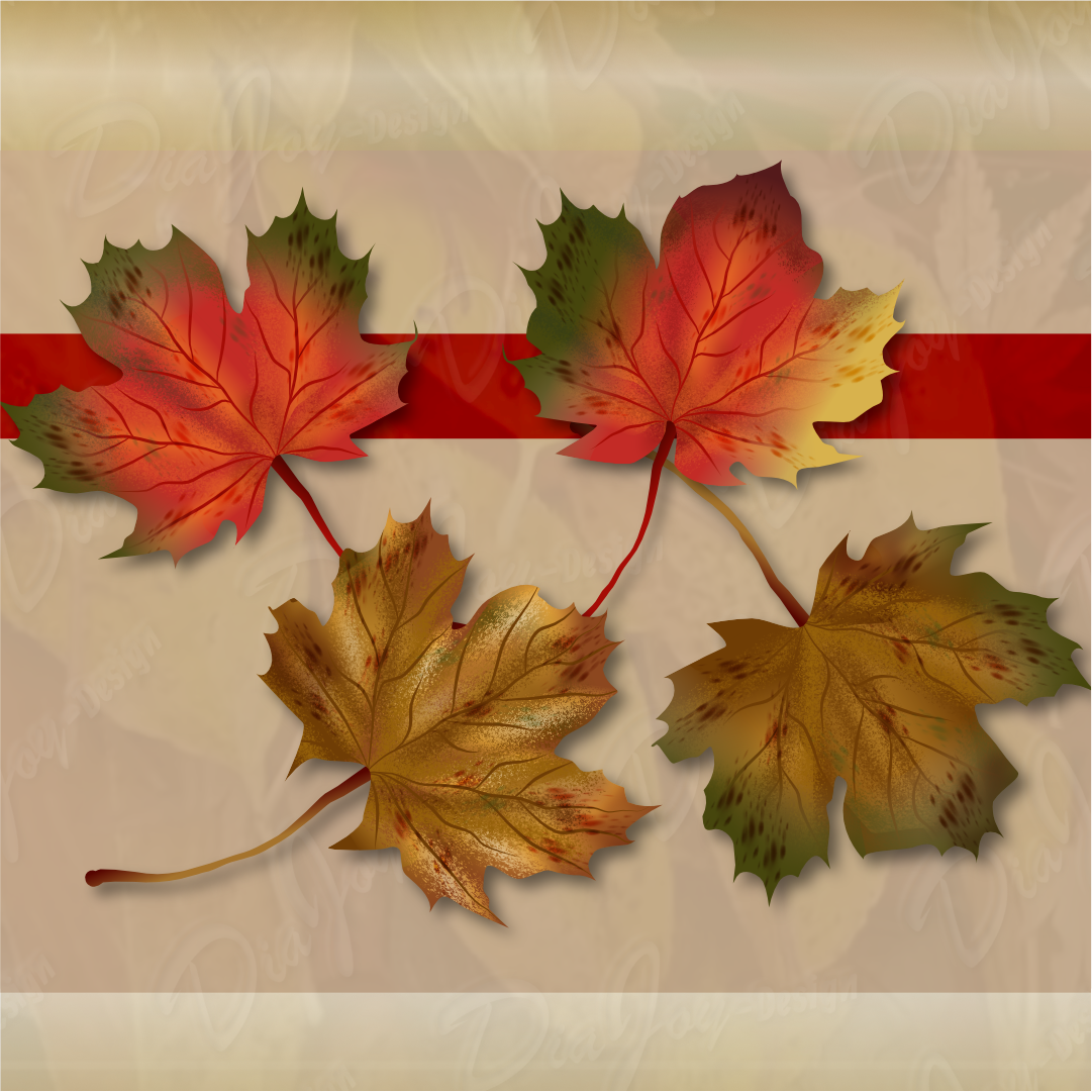 Maple Leaf Clipart + Card Set