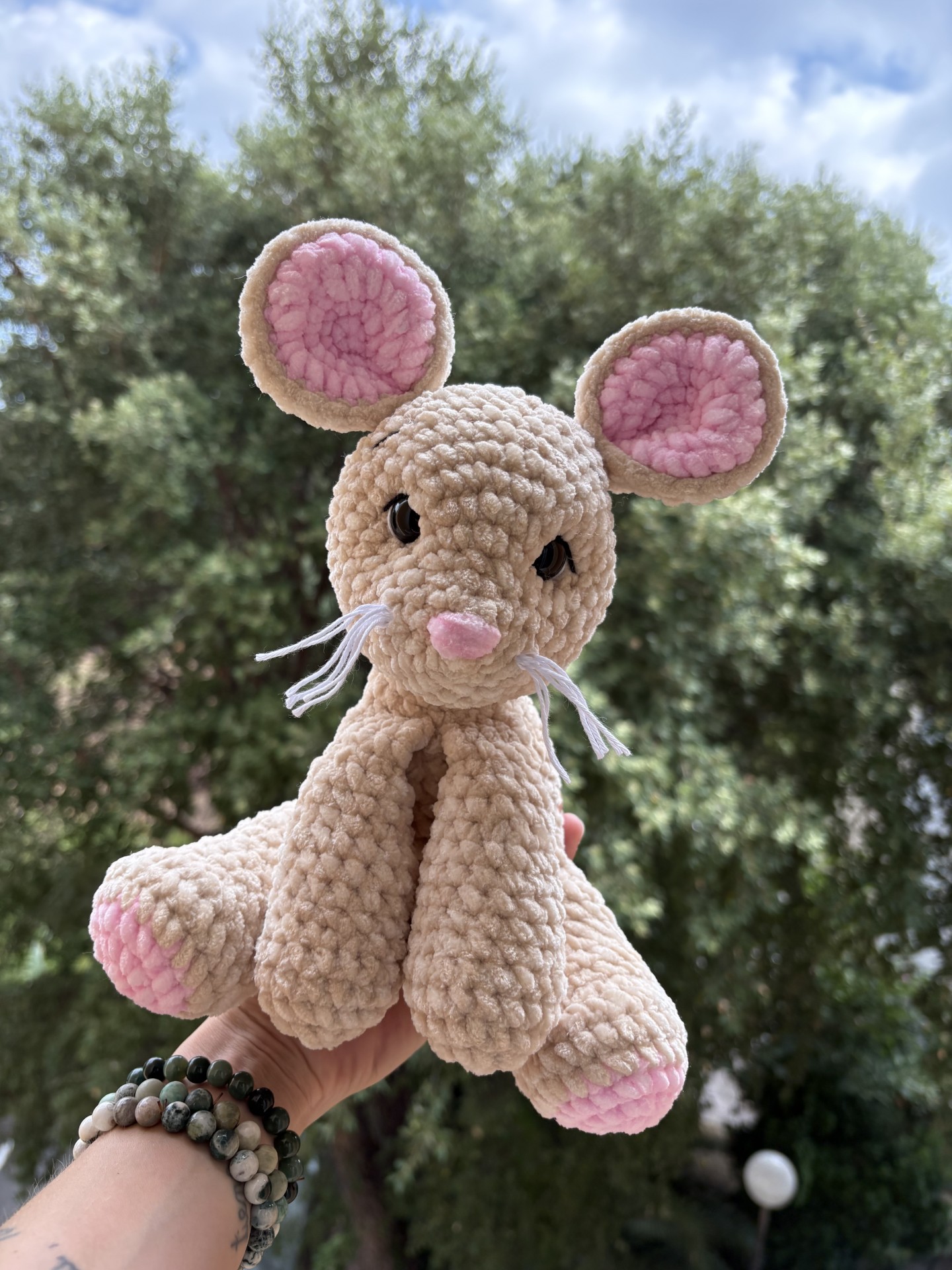 Souris