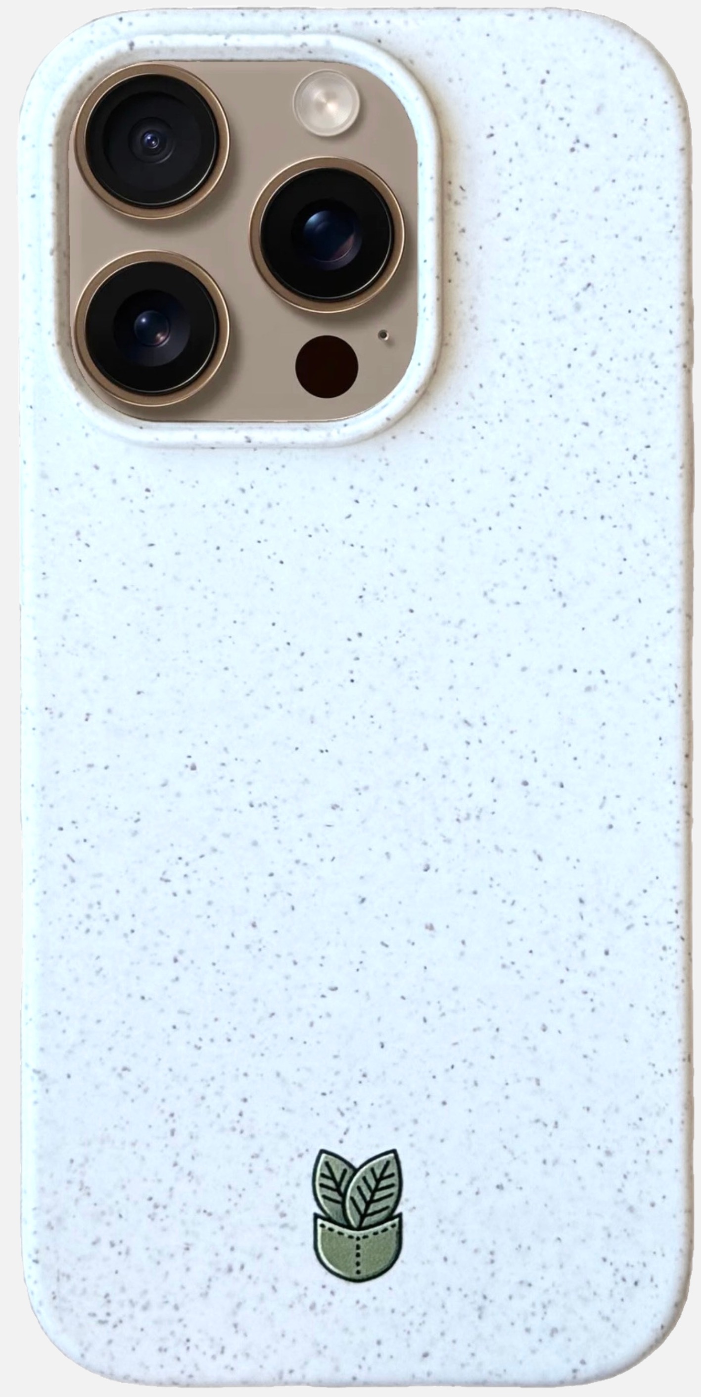 iPhone 16 Pro Case