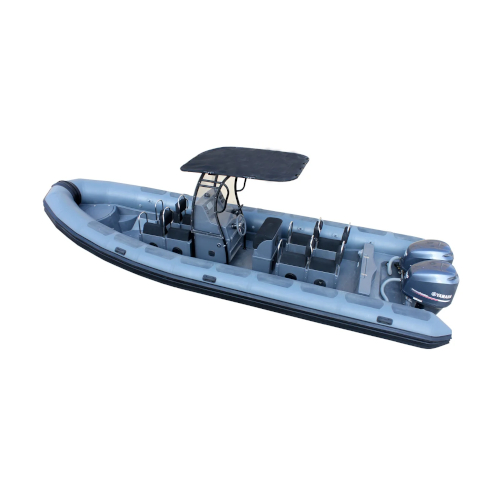 Dive Master – DM850