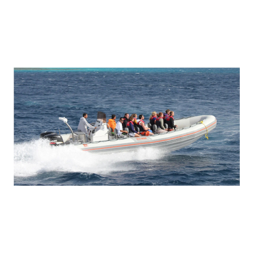 Dive Master – DM850