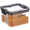 SKYWINGS Food Safe Modular Plastic Lock & Lock Airtight Containers - Set Of2