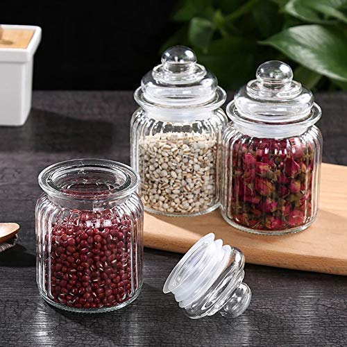 Spice Jar glass airtight container (250 ml each) set of 3