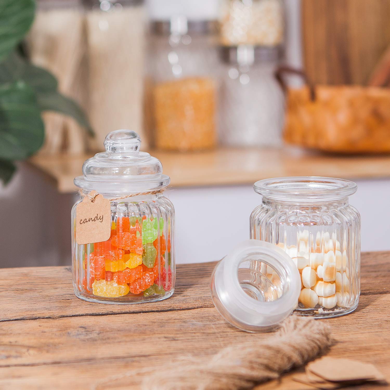 Spice Jar glass airtight container (250 ml each) set of 3