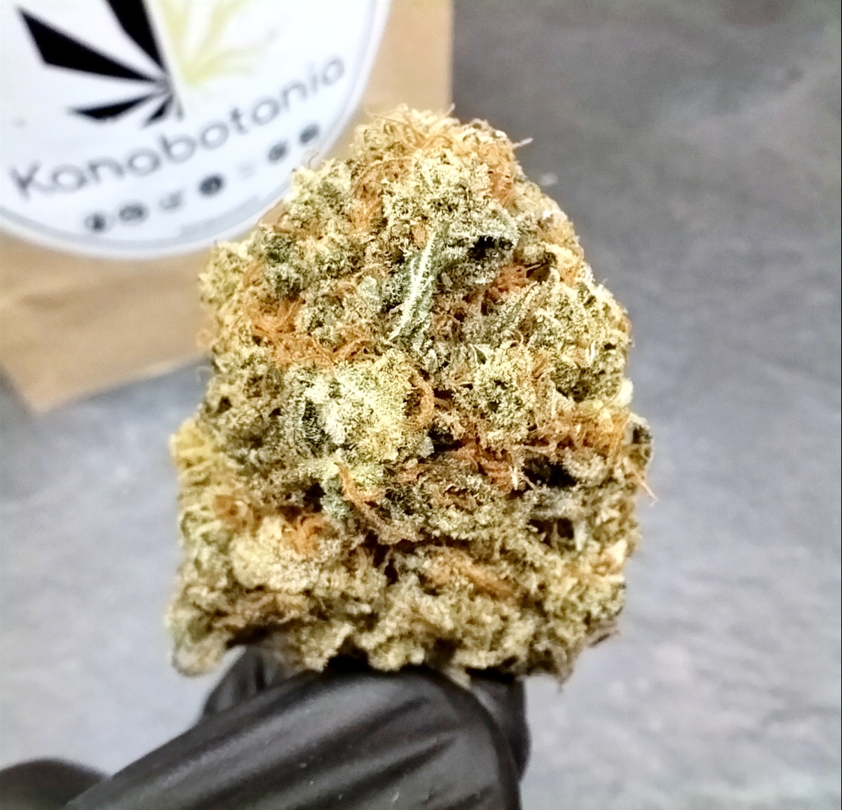 Skunk Jam – Fleur indoor