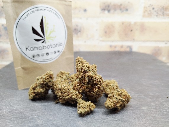 Mangolomania – Fleur indoor