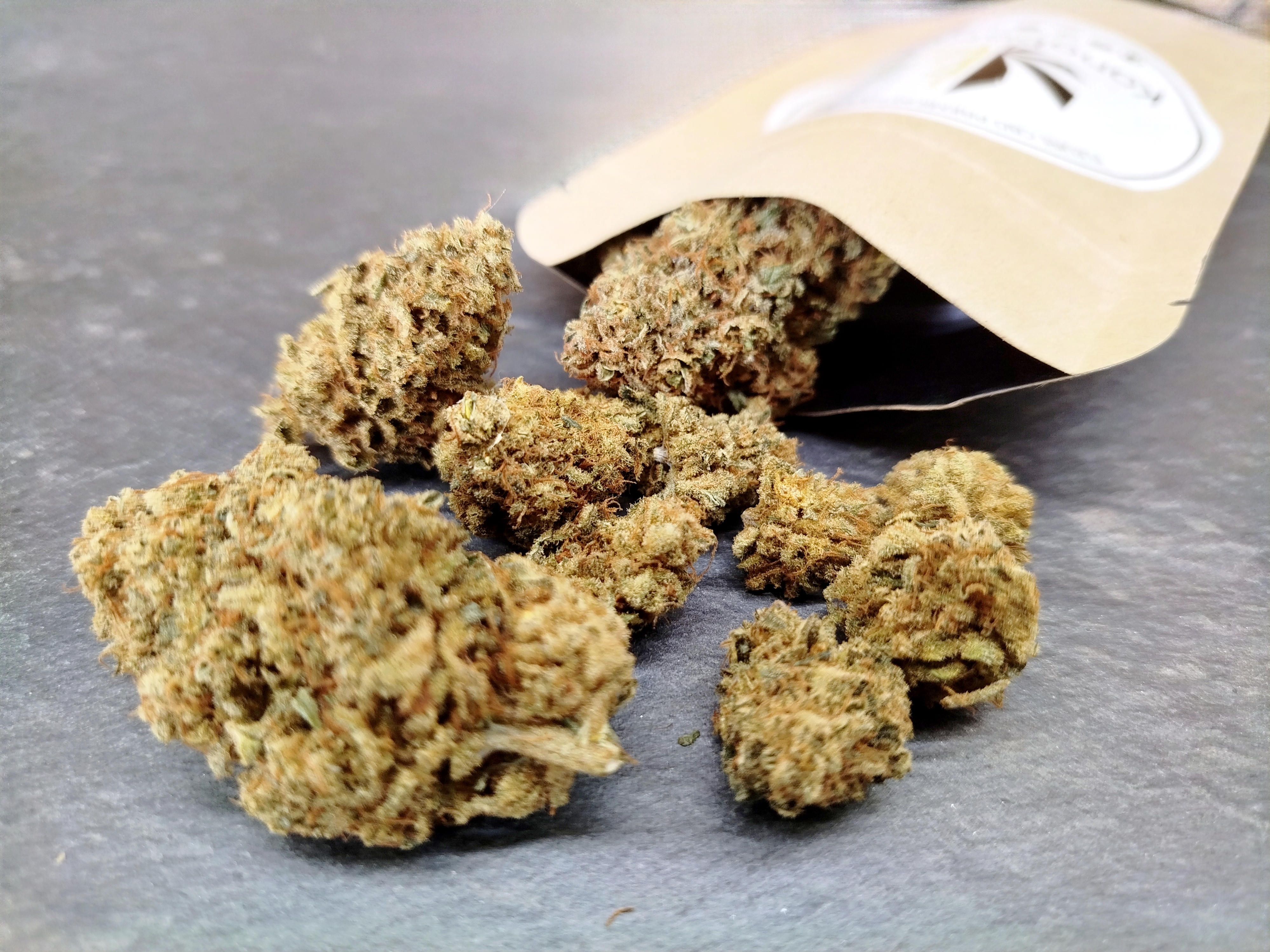 Mangolomania – Fleur indoor