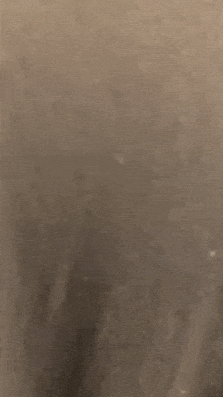 baseline - loose - long
