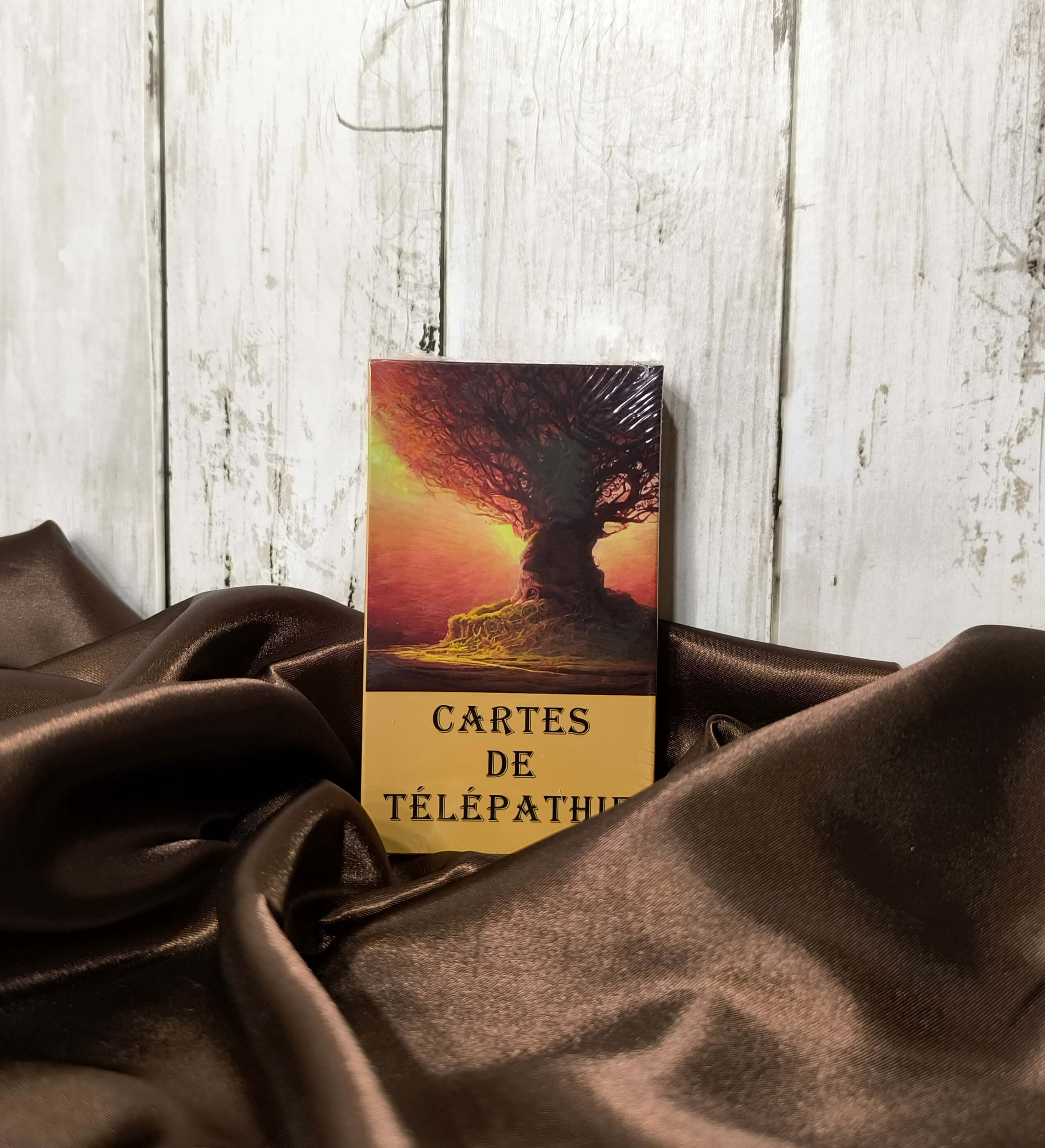 ORACLE DIVINATOIRE - CARTES DE TELEPATHIE (56 CARTES)
