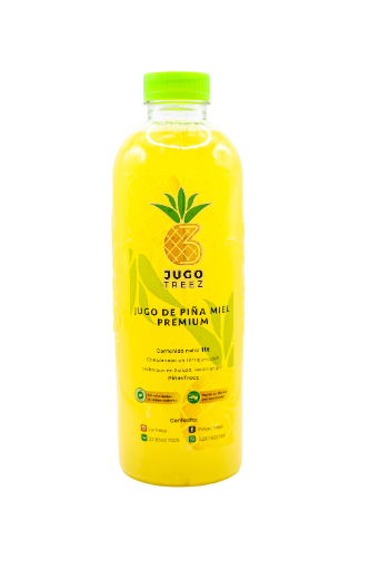 Jugo de piña 1/2 litro