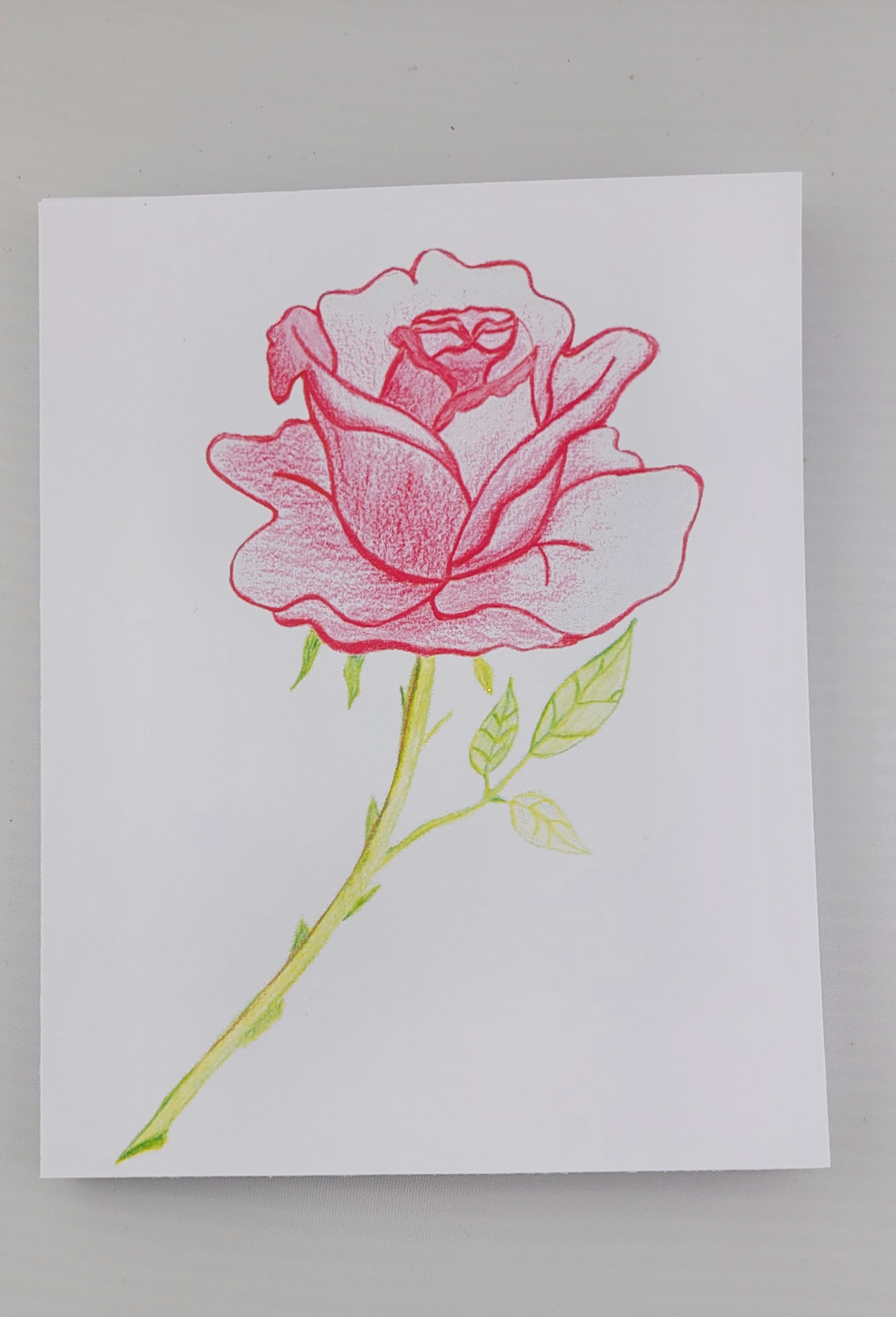 Hand-Drawn Rose Greeting Card
